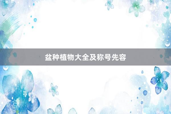 盆种植物大全及称号先容