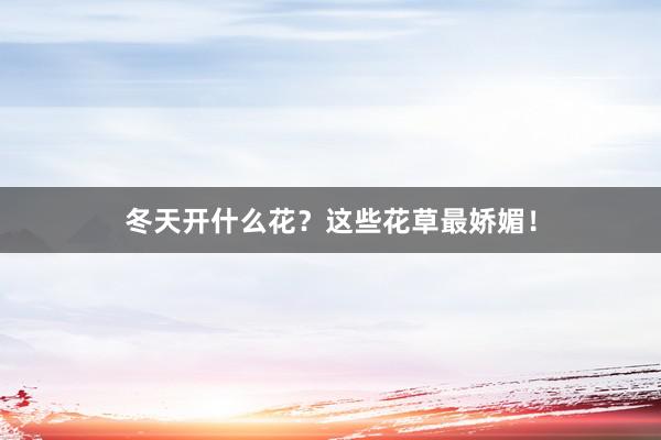 冬天开什么花？这些花草最娇媚！